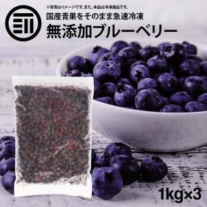 国産 熊本県産 ブルーベリー 冷凍 1kg(1000g) x 10袋 無添加 ばら バラ