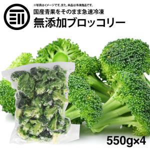 冷凍野菜 ブロッコリー 国産 計2.2kg 550g x4袋 前田家 九州産 ばらバラ ぶろっこりー 緑黄色野菜 カット野菜 弁当 簡単 便利
