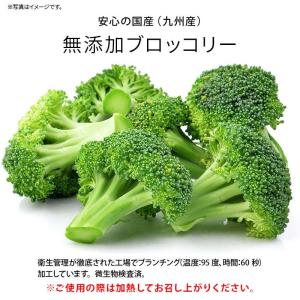 冷凍野菜 ブロッコリー 国産 計2.2kg 5...の詳細画像2