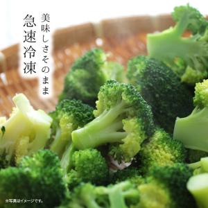 冷凍野菜 ブロッコリー 国産 計2.2kg 5...の詳細画像3