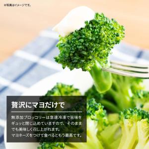 冷凍野菜 ブロッコリー 国産 計2.2kg 5...の詳細画像4