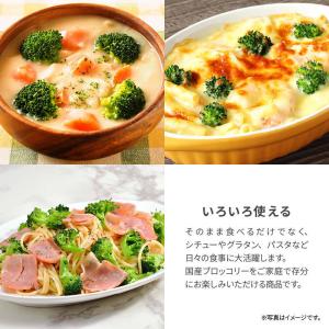 冷凍野菜 ブロッコリー 国産 計2.2kg 5...の詳細画像5
