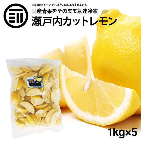 前田家 無添加 瀬戸内レモン 冷凍 計5kg 1kg×5袋 国産 広島県産 カットレモン 檸檬 れも...