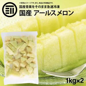 国産 熊本県産 ブルーベリー 冷凍 1kg(1000g) x 10袋 無添加 ばら バラ