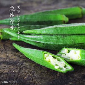 【GW前お届け】冷凍野菜 国産 オクラスライス...の詳細画像3