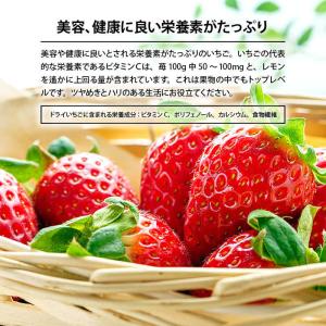 ドライフルーツ ストロベリー ダイス 850g...の詳細画像3
