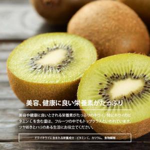 ドライフルーツ キウイ ダイス 450g 前田...の詳細画像3