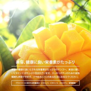 ドライフルーツ マンゴー ダイス 450g 前...の詳細画像3