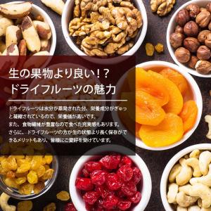 ドライフルーツ マンゴー ダイス 450g 前...の詳細画像4