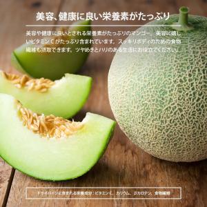 ドライフルーツ メロン ダイス 450g 前田...の詳細画像3
