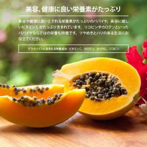 ドライフルーツ パパイヤ ダイス 850g 前...の詳細画像3