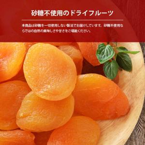 ドライフルーツ アプリコット 250g 前田家...の詳細画像1