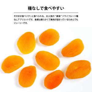 ドライフルーツ アプリコット 250g 前田家...の詳細画像2