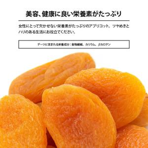 ドライフルーツ アプリコット 250g 前田家...の詳細画像4