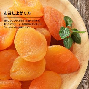 ドライフルーツ アプリコット 250g 前田家...の詳細画像5