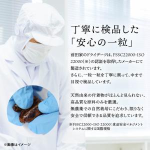 ドライフルーツ ドライデーツ 種なし 330g...の詳細画像4