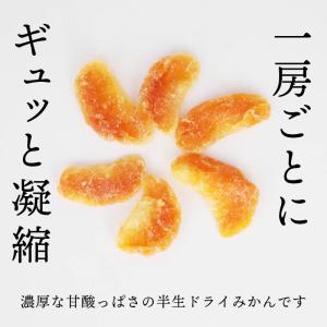 ドライフルーツ みかん 半生 500g 前田家...の詳細画像2