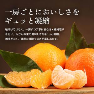 ドライフルーツ みかん 半生 500g 前田家...の詳細画像5