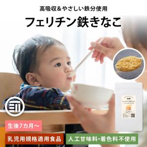 フェリチン鉄きなこ 100g 健康食品