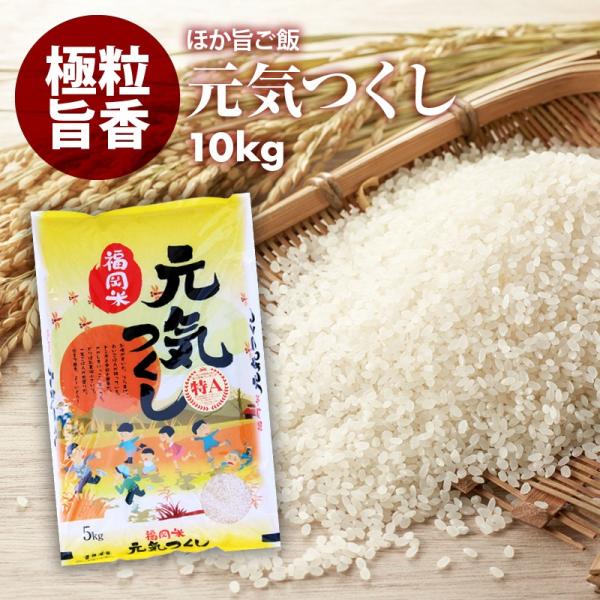 無洗米 プロが選ぶ 一等米 米 食味ランク 特A 元気つくし  10kg 精米 福岡県産