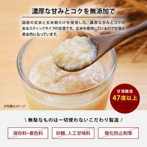 甘酒 無添加 玄米甘酒 計300g 30g x...の詳細画像3