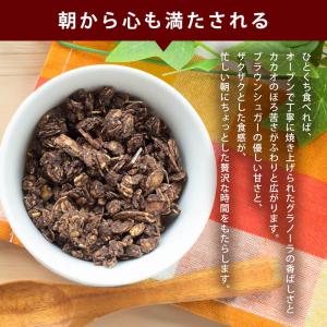 グラノーラ チョコレートグラノーラ 170g ...の詳細画像2