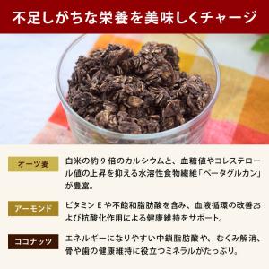 グラノーラ チョコレートグラノーラ 170g ...の詳細画像4