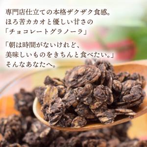 グラノーラ チョコレートグラノーラ 500g ...の詳細画像1