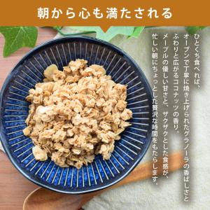 グラノーラ メープルグラノーラ 170g 甘さ...の詳細画像2