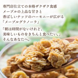 グラノーラ メープルグラノーラ 500g 甘さ...の詳細画像1