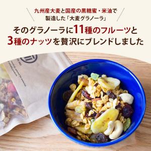 前田家 九州大麦グラノーラ 具だくさん 11種...の詳細画像2