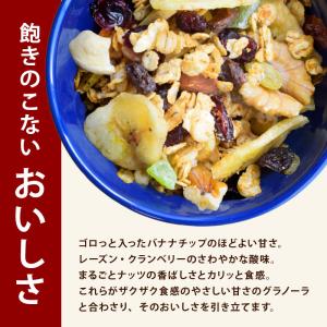 前田家 九州大麦グラノーラ 具だくさん 11種...の詳細画像3
