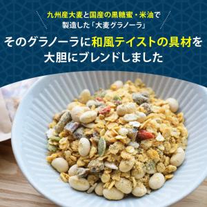前田家 九州大麦グラノーラ 大豆とデーツ 和風...の詳細画像2