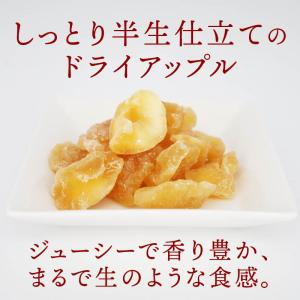 ドライフルーツ 半生仕立 ドライアップル 17...の詳細画像2