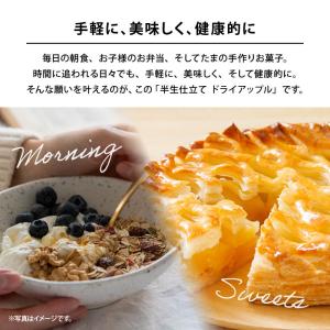 ドライフルーツ 半生仕立 ドライアップル 60...の詳細画像3