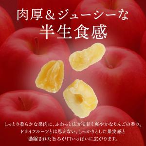 ドライフルーツ 半生仕立 ドライアップル 60...の詳細画像4