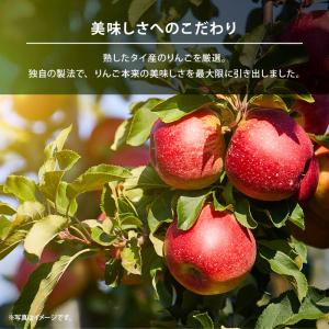 ドライフルーツ 半生仕立 ドライアップル 60...の詳細画像5