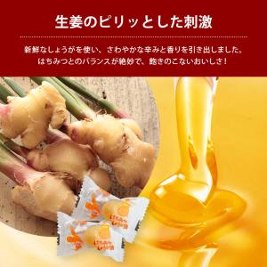 前田家 無添加 はちみつしょうが飴 ほどよい辛...の詳細画像2