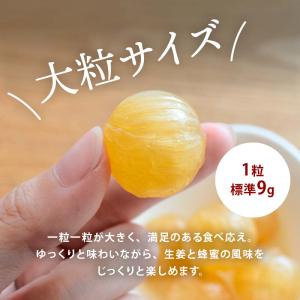 前田家 無添加 はちみつしょうが飴 ほどよい辛...の詳細画像4