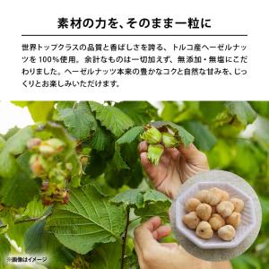 ヘーゼルナッツ ロースト 無塩 無添加 トルコ...の詳細画像3
