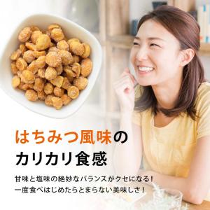 ナッツ ハニーローストピーナツ 500g ハチ...の詳細画像2