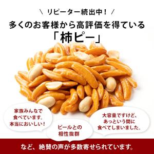 おつまみ 柿ピー 600g 前田家 珍味 スナ...の詳細画像5