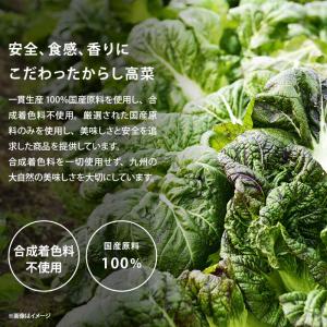 前田家 国産 からし高菜 計600g 150g...の詳細画像4