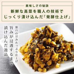 前田家 国産 からし高菜 計600g 150g...の詳細画像5