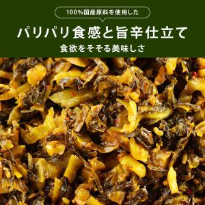 漬物 辛子高菜 計750g 150g x5袋 ...の詳細画像2