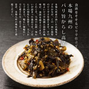 漬物 辛子高菜 計750g 150g x5袋 ...の詳細画像3