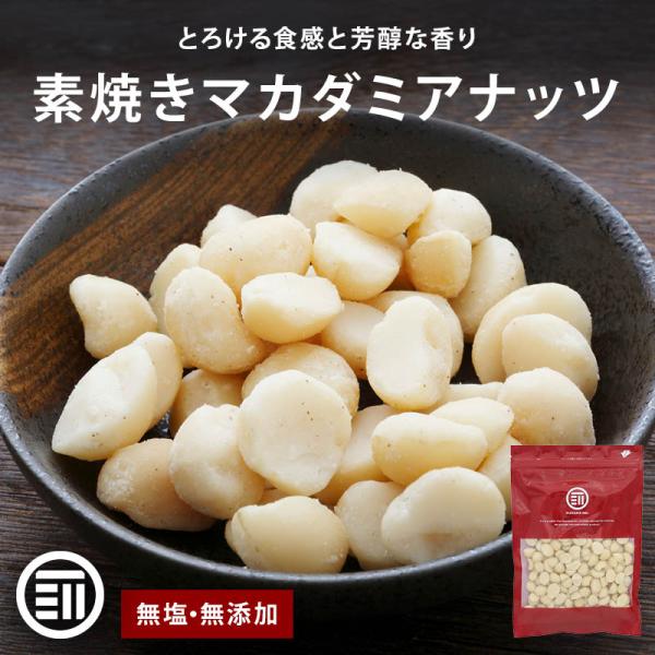 マカダミアナッツ 素焼き 無塩 南アフリカ産 80g 素焼き ナッツ マカダミア マカダミアナッツ ...
