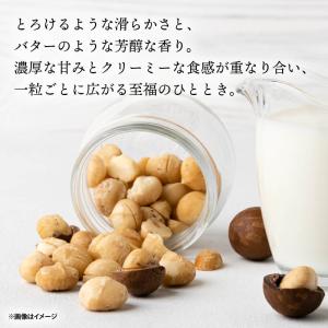 マカダミアナッツ 素焼き 無塩 南アフリカ産 ...の詳細画像2