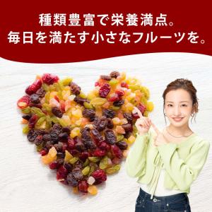 ドライフルーツ ミックス 900g 前田家 ダ...の詳細画像2