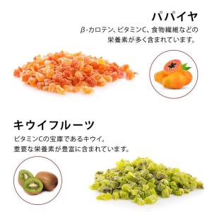 ドライフルーツ ミックス 900g 前田家 ダ...の詳細画像5
